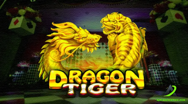 Dragon Tiger Prediction Tool