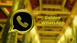 Download Whatsapp Gold APK Latest Version (Free) 3